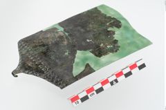 Foto von Bronzegürtelblech (NHMW-PRAE-024726)